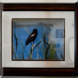 A40. Framed bird photograph.